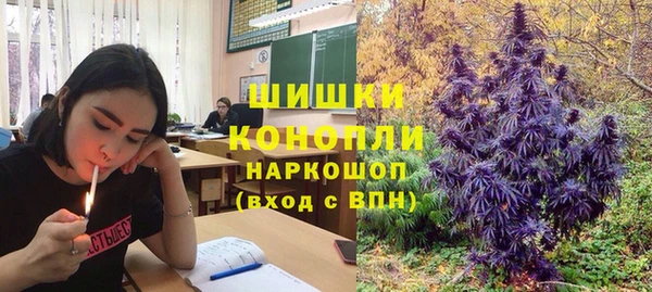 амф Абаза