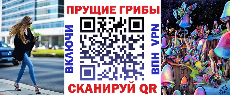 Псилоцибиновые грибы Psilocybine cubensis  Сычёвка 